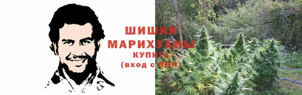 шишки Белокуриха