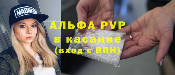 шишки Белокуриха