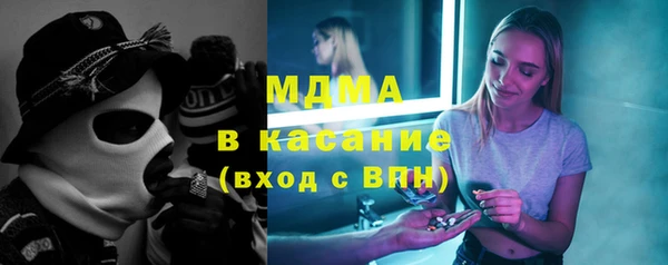 шишки Белокуриха