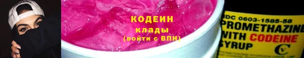 шишки Белокуриха