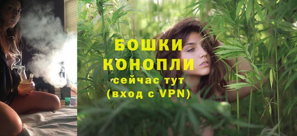 шишки Белокуриха