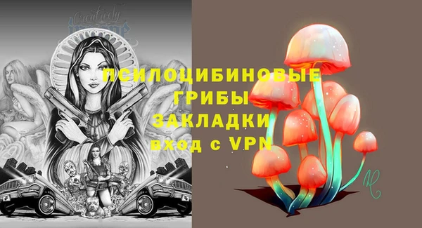 спайс Беломорск