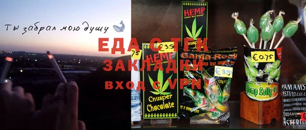 шишки Белокуриха